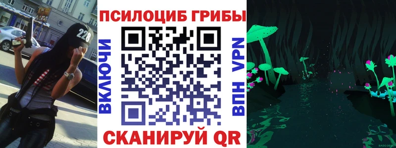 Купить закладки  Алексеевка  Галлюциногенные грибы Psilocybine cubensis 